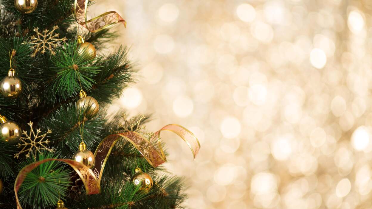 How to Keep Your Christmas Tree Alive Throughout the Holidays