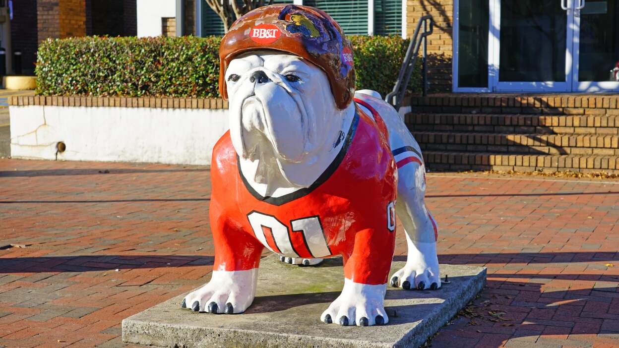 statue of the university of georgia mascot