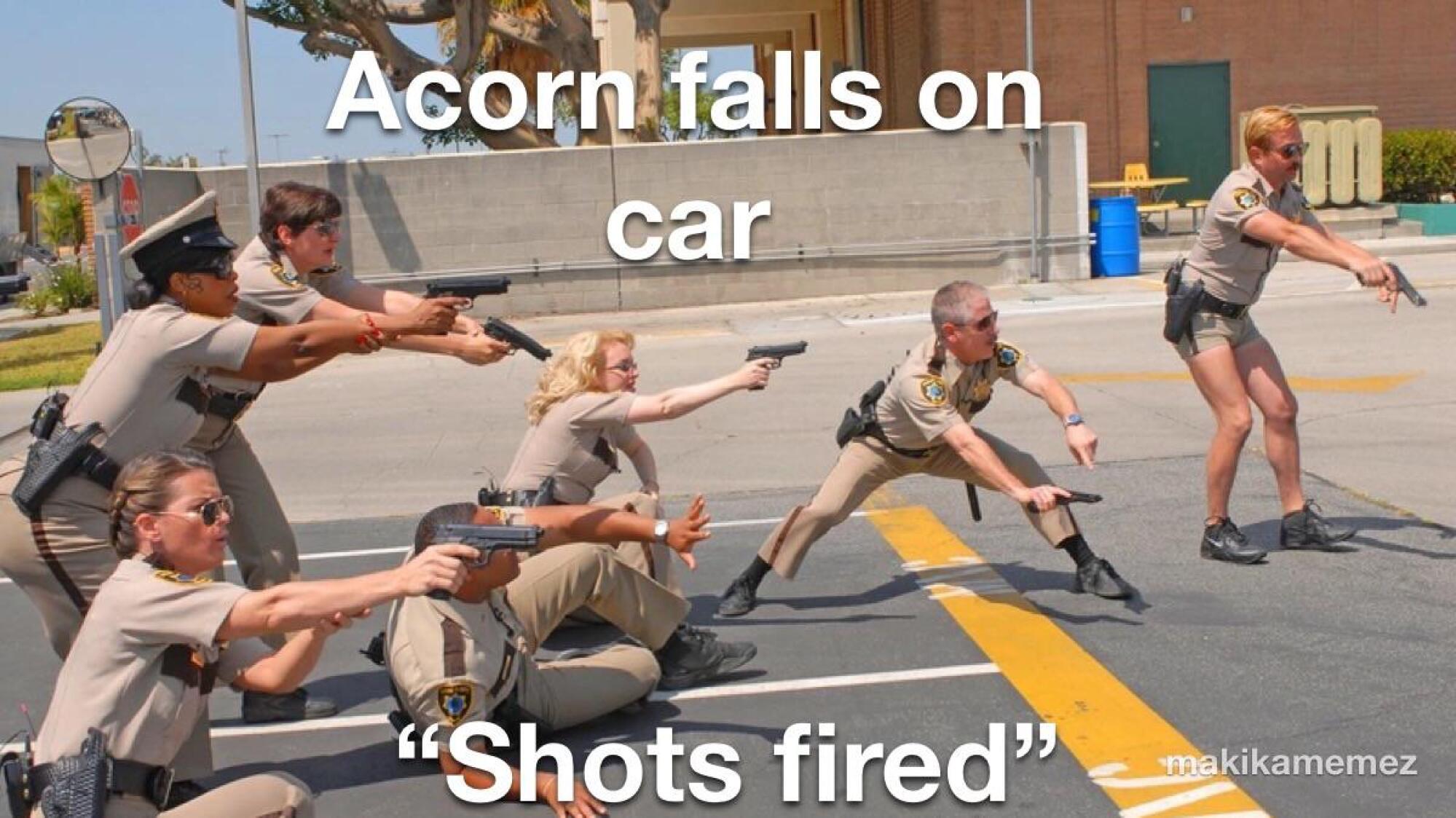 Reno 911 meme