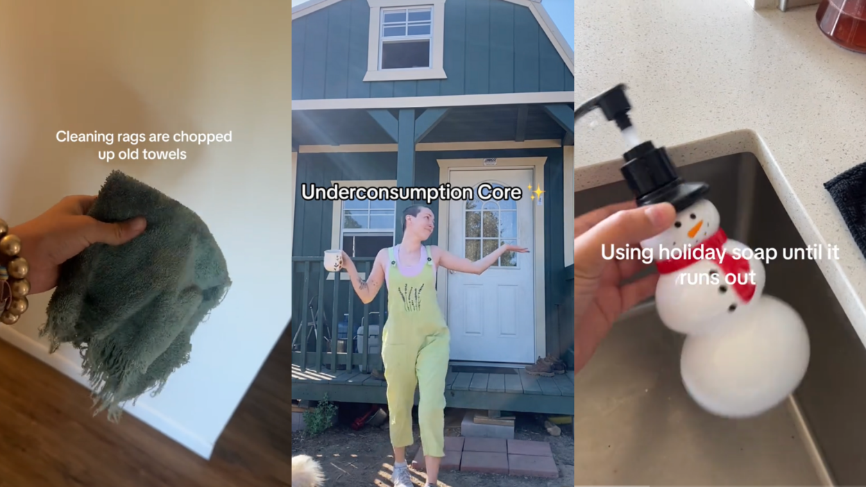 Screenshots of a recycled rag, a TikTok influencer, and old dish soap.