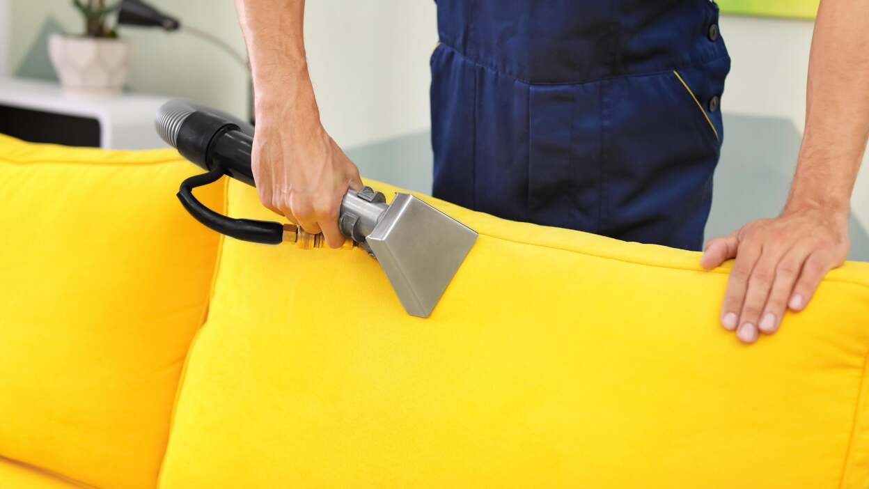 Deep clean your carpets and upholstery